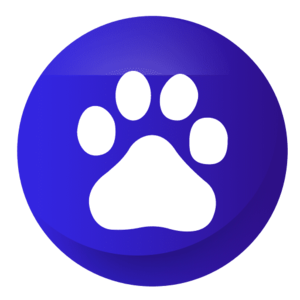 Baidu.png