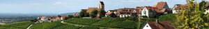 Ötlingen - Panoramaansicht klein banner.jpg